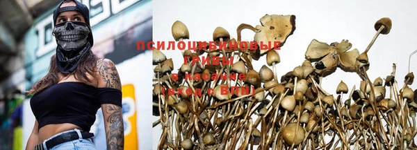 гашишное масло Балабаново