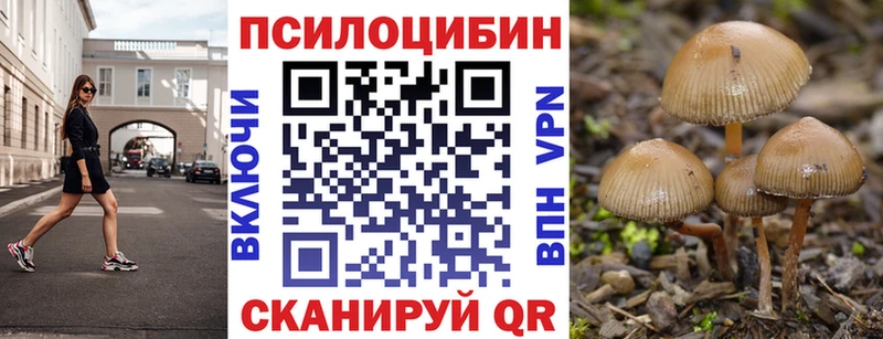 Купить  Петрозаводск  Галлюциногенные грибы Magic Shrooms 